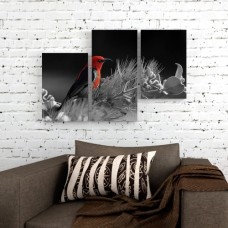 Модульная картина 'Красная Птица', Ш120xВ80, из 3-x частей