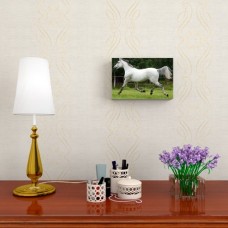 Картина на холсте Белая лошадь, 30х20 см.