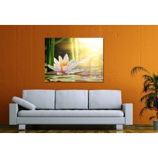 Модульная картина 'Водная белая лилия', В56 x Ш75 см.