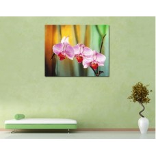Модульная картина 'Великолепие орхидеи', В56 x Ш69 см.