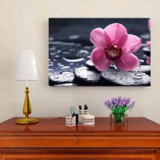 Картина на холсте Цветок орхидеи, 90x60 см.